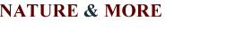 Nature & More Onlineshop Newsletter